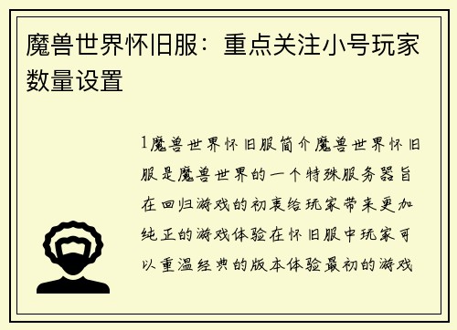 魔兽世界怀旧服：重点关注小号玩家数量设置
